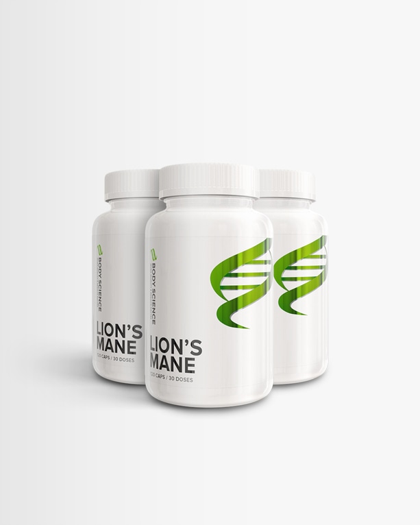 3 kpl Lion's Mane